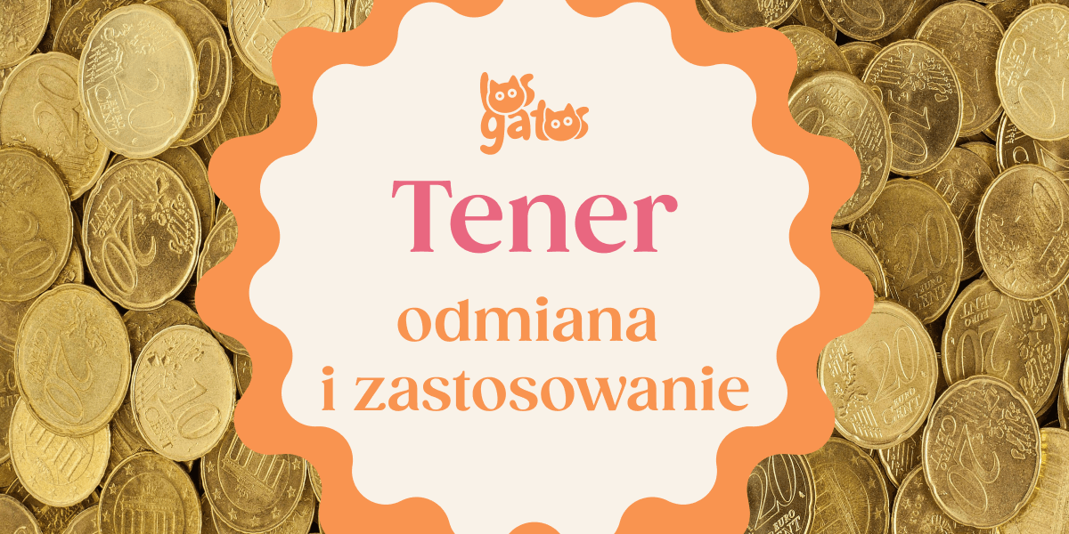 Czasownik TENER – odmiana i zastosowanie