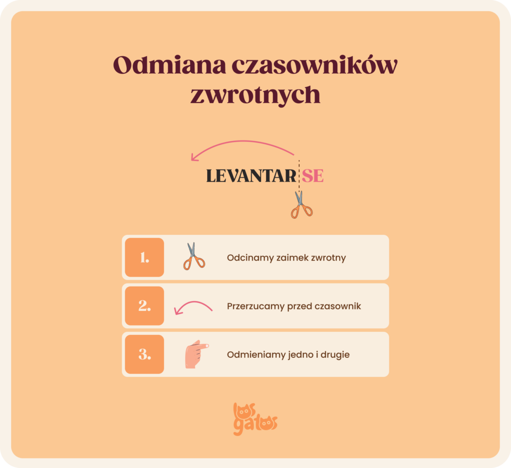 Odmiana czasowników zwrotnych infografika Los Gatos